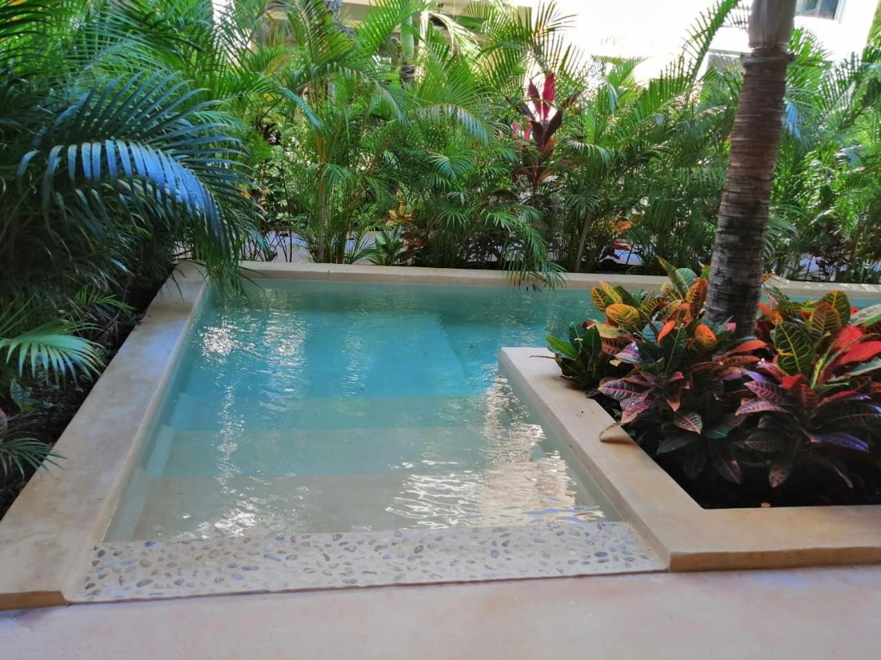 Alma De Flores Private Pools Suites Tulum Pueblo Buitenkant foto
